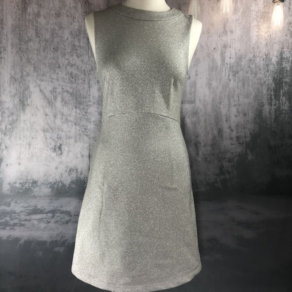 Silver Sparkle Mod Shift Dress